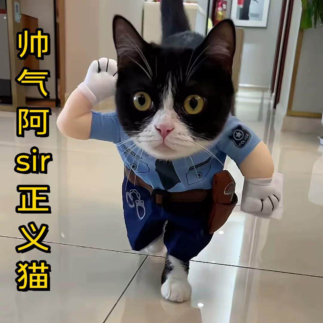 猫咪衣服狗狗宠物服饰可爱小猫咪夏季搞笑搞怪装立体衣服拍摄道具
