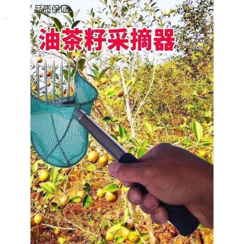 油茶果采摘神器采茶树籽山茶子高空摘果器伸缩杆酸枣山楂核桃园林
