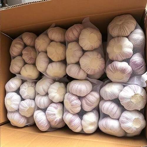 金乡大蒜精选日晒足干