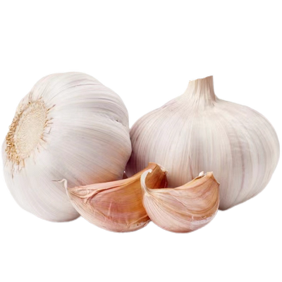 金乡干蒜新品促销24小时发货