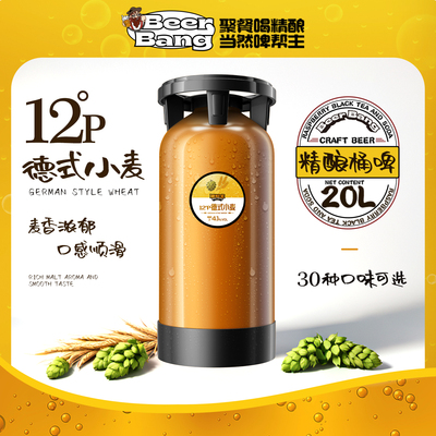 精酿啤酒桶装20升原浆鲜啤生啤扎啤酒吧打酒站酒馆饭店餐厅商用