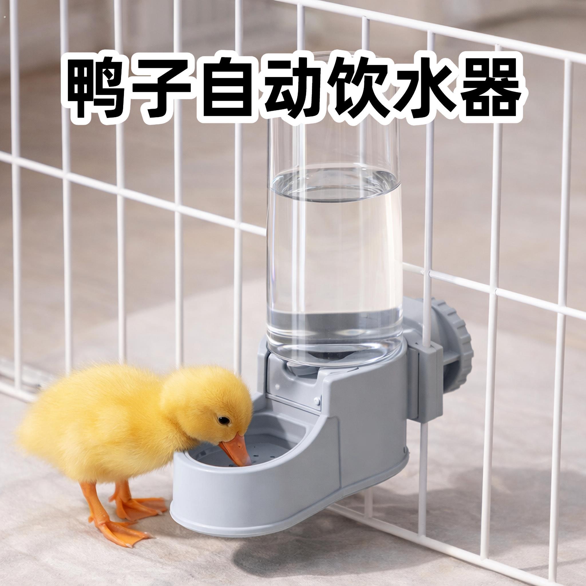 鸭子自动饮水器专用柯尔鸭喂水神器大容量水槽挂笼防撒防溅喝水壶
