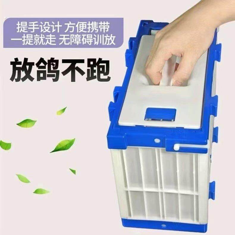塑料拼接放飞笼训放笼报道笼鸽子笼笼子鸽具观察笼运输笼探视笼