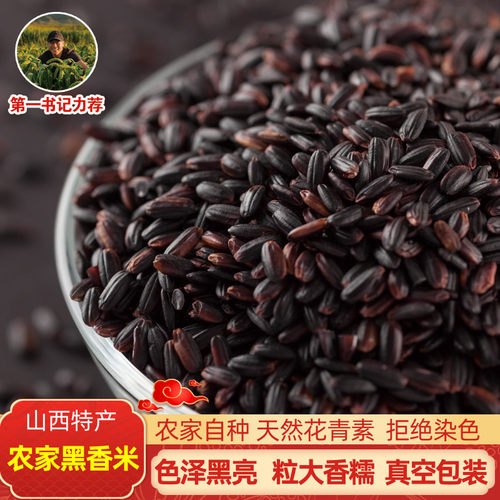 山西特产2025农家黑香米新鲜黑米