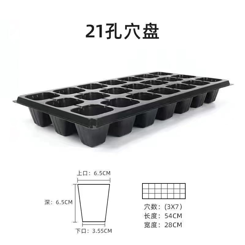 育苗穴盘加厚托盘蔬菜辣椒营养西红柿玉米扦插多肉草莓西瓜批发