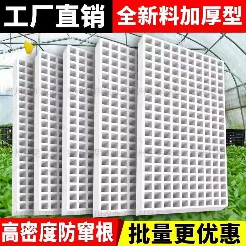 泡沫漂浮育苗盘玉米加厚蔬菜育苗漂盘种子水培漂浮板辣椒托盘