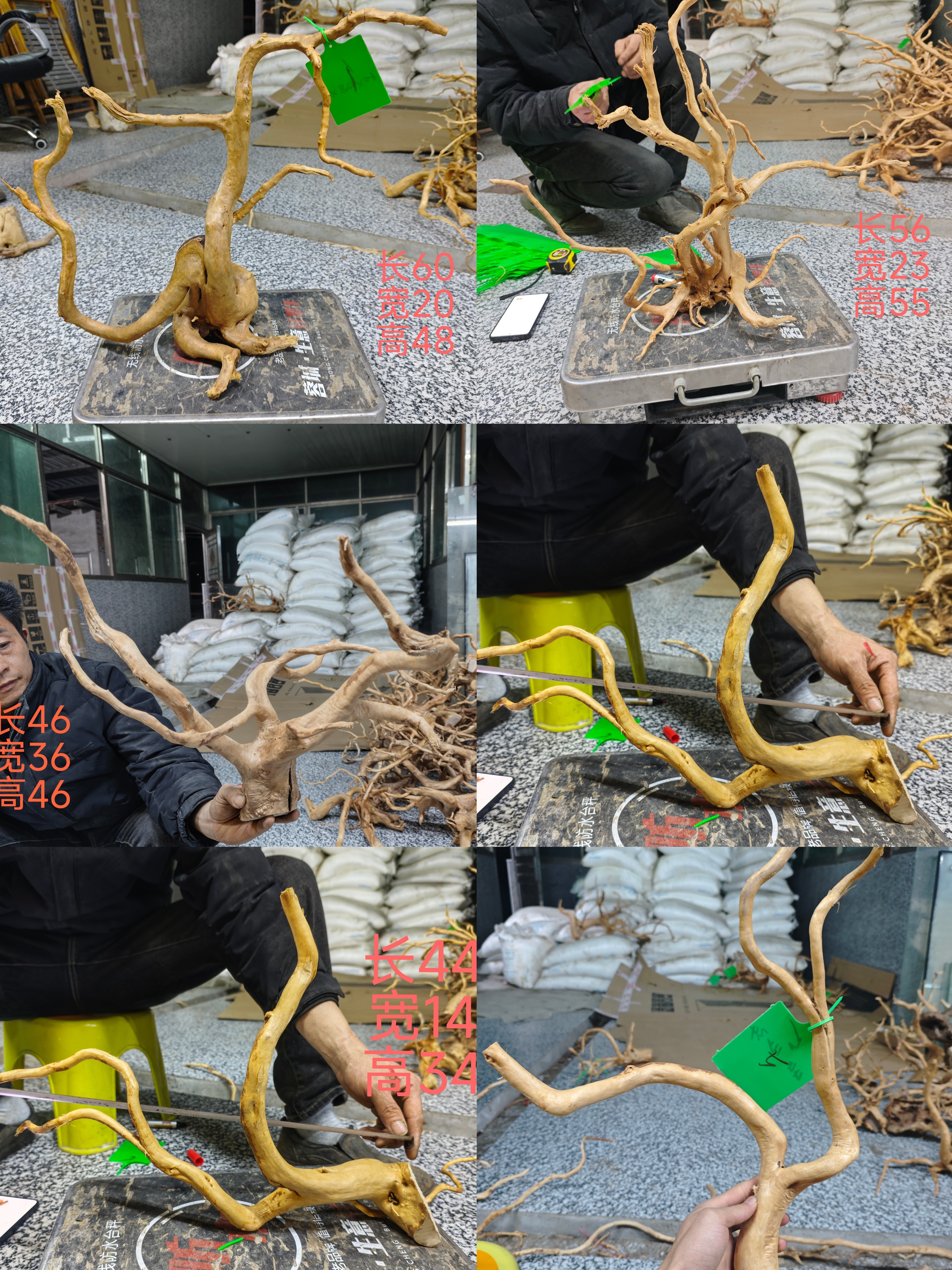 精品杜鹃根鱼缸造景一物一拍爬宠乌龟形状优美纹理清晰小缸造景专图片
