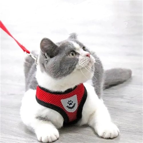 猫咪背心式防挣脱可外出牵引绳