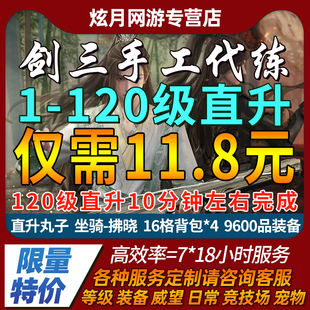 剑三代练直升丸子剑网三剑网3代练1 120级直升丸子等级速升级 110