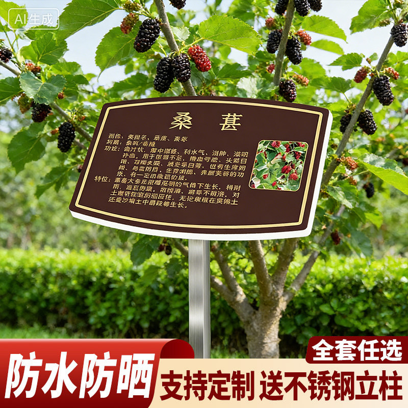 植物介绍牌树果树树木标识牌不锈钢插地牌子植物绿化信息标识牌树木介绍温馨提示牌爱护花草果树立牌普牌定制