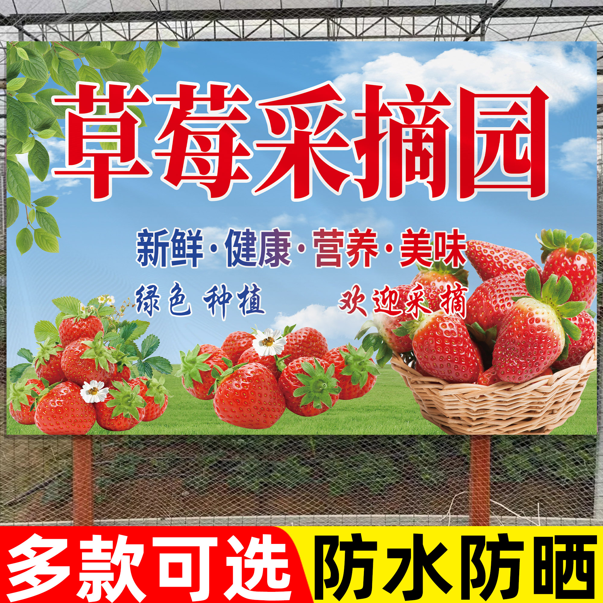 哲众草莓采摘园广告牌草莓采摘园