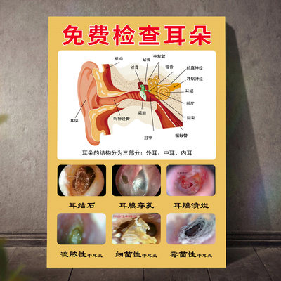 采耳图片海报耳朵常见症状挂图