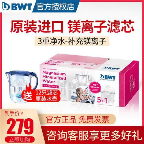 bwt德国净水壶水壶滤芯倍世家用过滤器进口净水器镁离子直饮