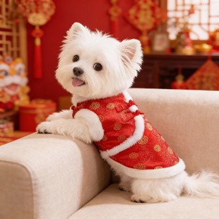 狗狗衣服新年马甲冬装猫咪小型犬博美泰迪比熊宠物过年喜庆毛衣
