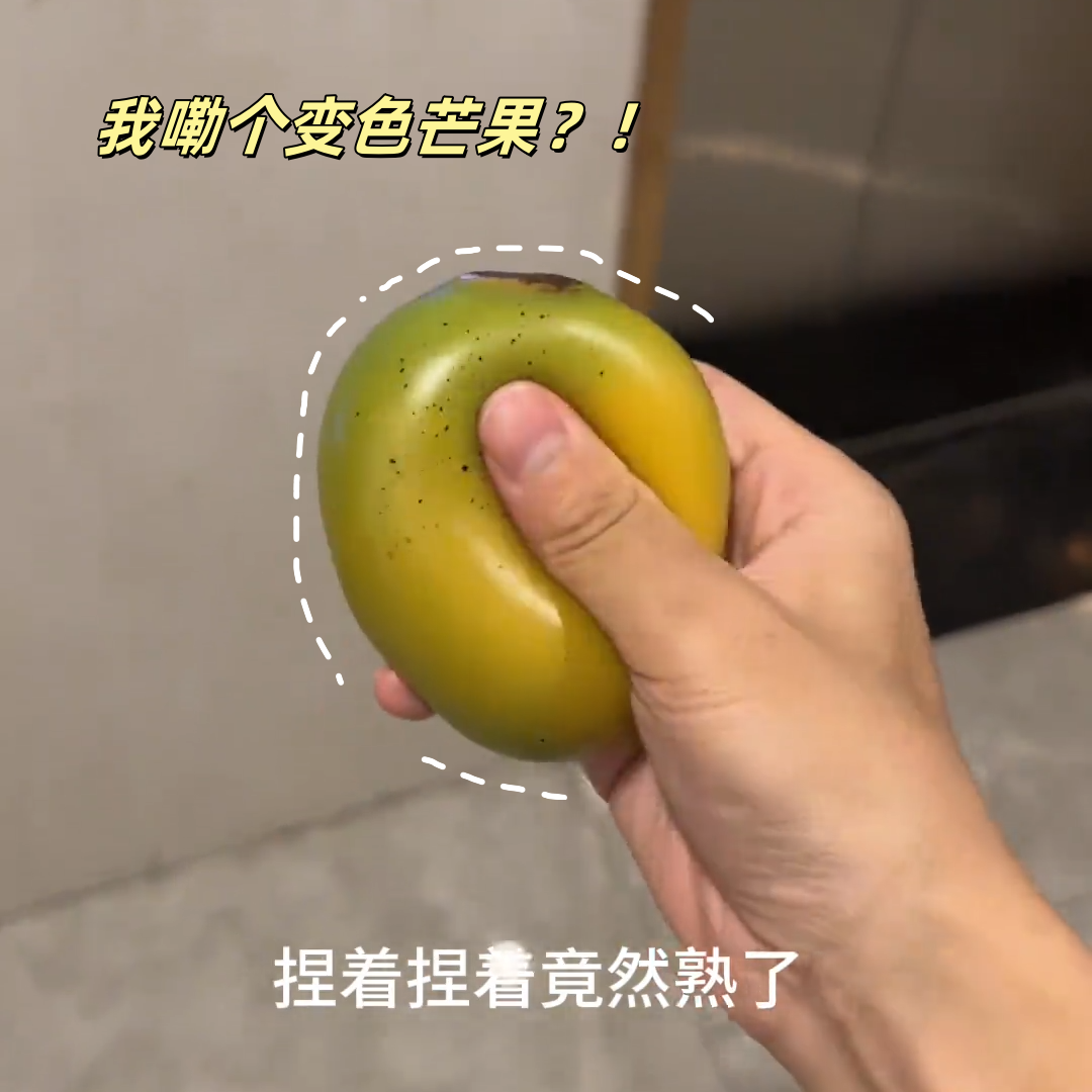 你们捏圈要考研吗?!捏捏乐