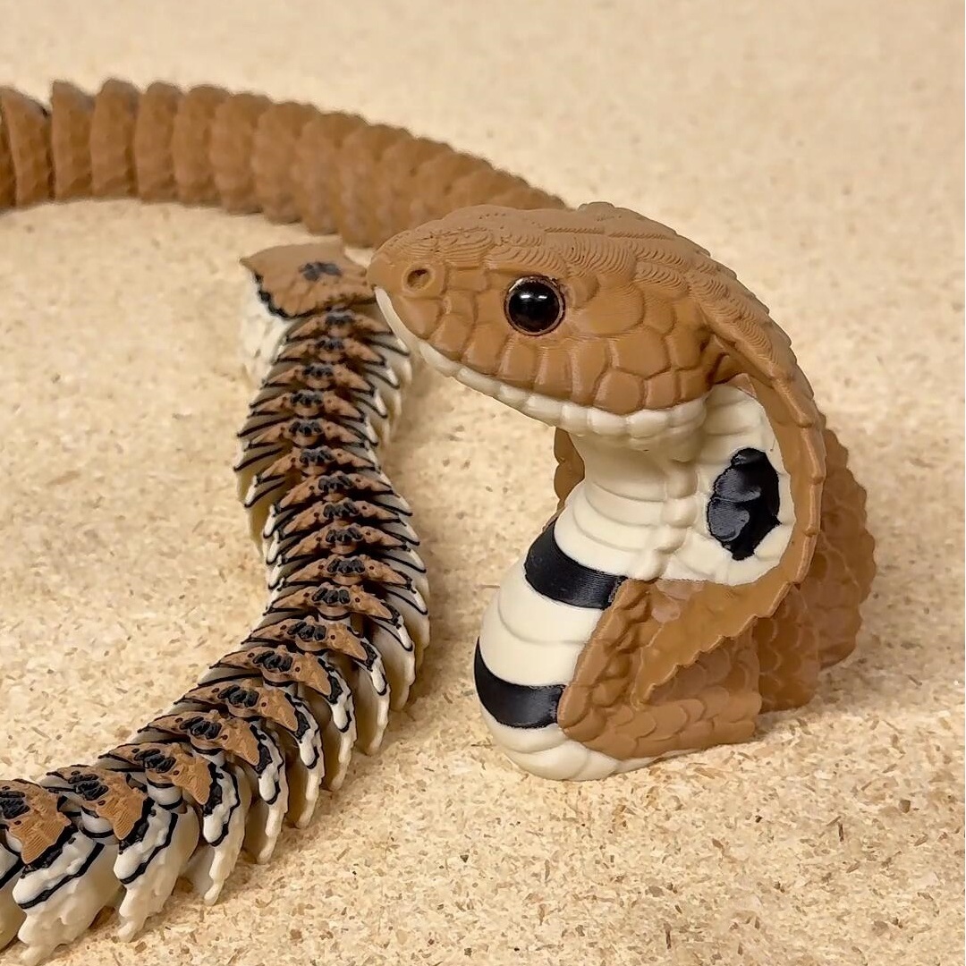 随机迷鼠一位大学生|玩具