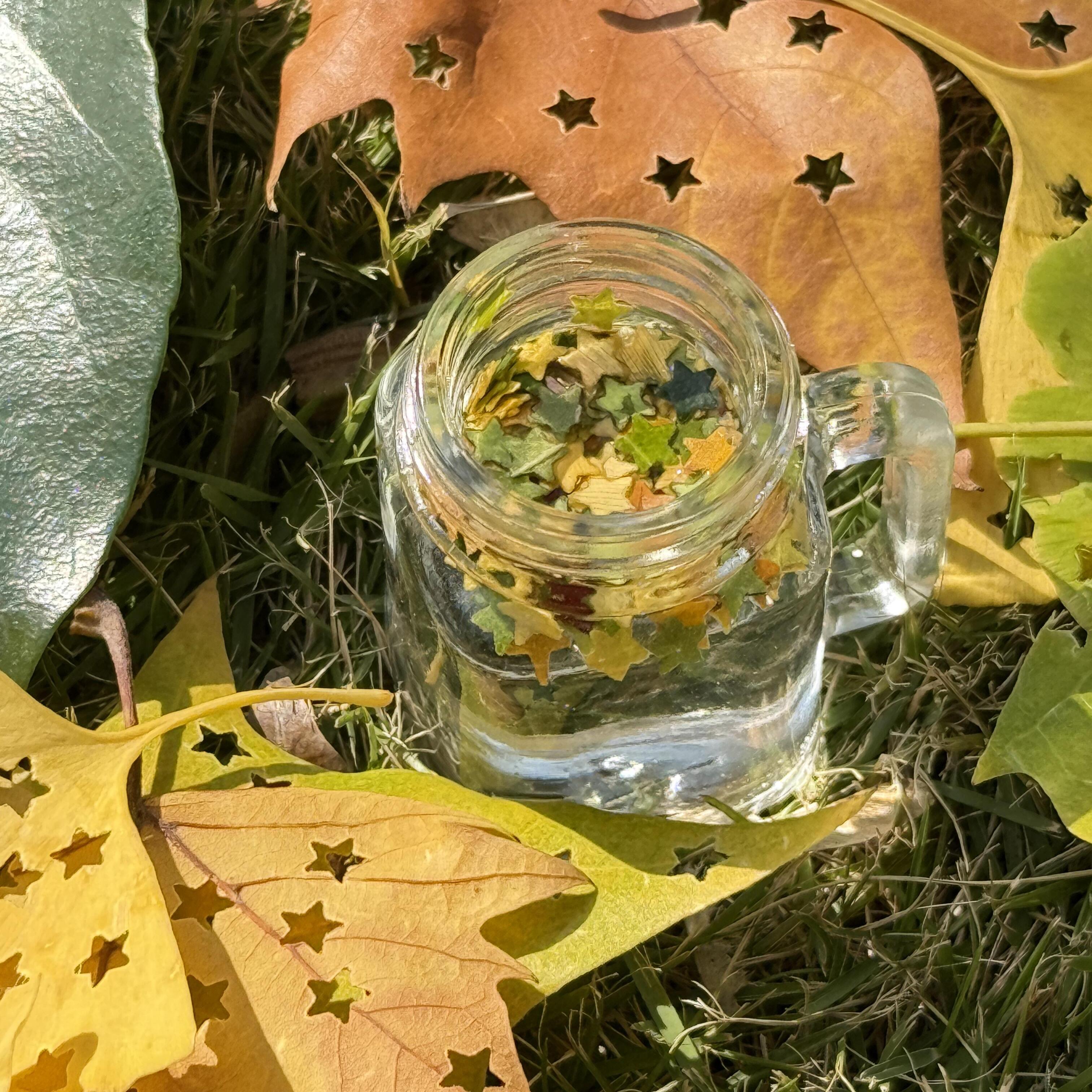 给秋天留个纪念|压花器