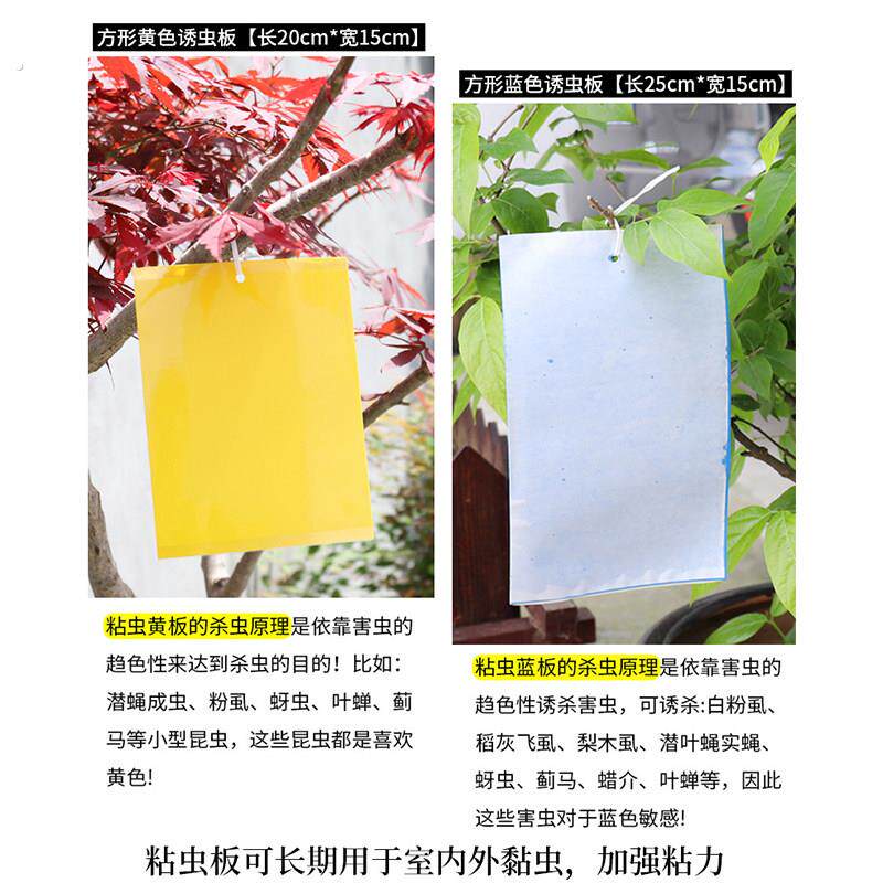 200张装双面粘虫板诱虫板大棚茶园果园温室园艺黏虫防虫农用家用