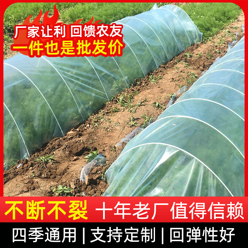 保温大棚花棚防虫拱棚支架秧苗架