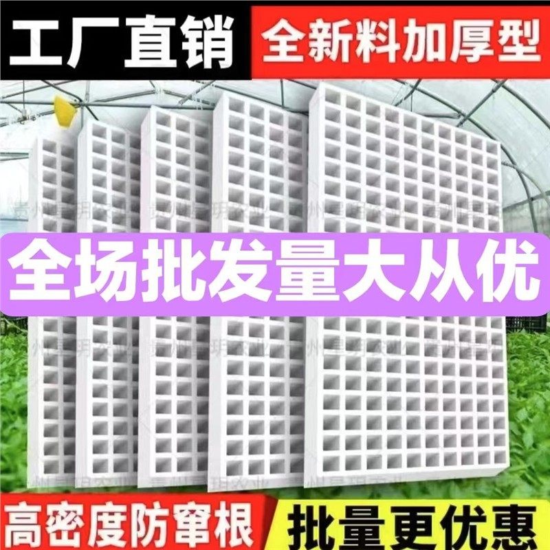 加厚泡沫漂浮育苗盘水培漂浮板水上漂浮托盘辣椒特厚神器工具手压