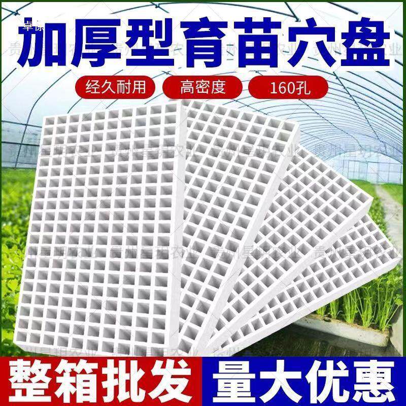 泡沫育苗盘水培育苗水上漂浮托盘蔬菜漂浮板200 162 160 135 105