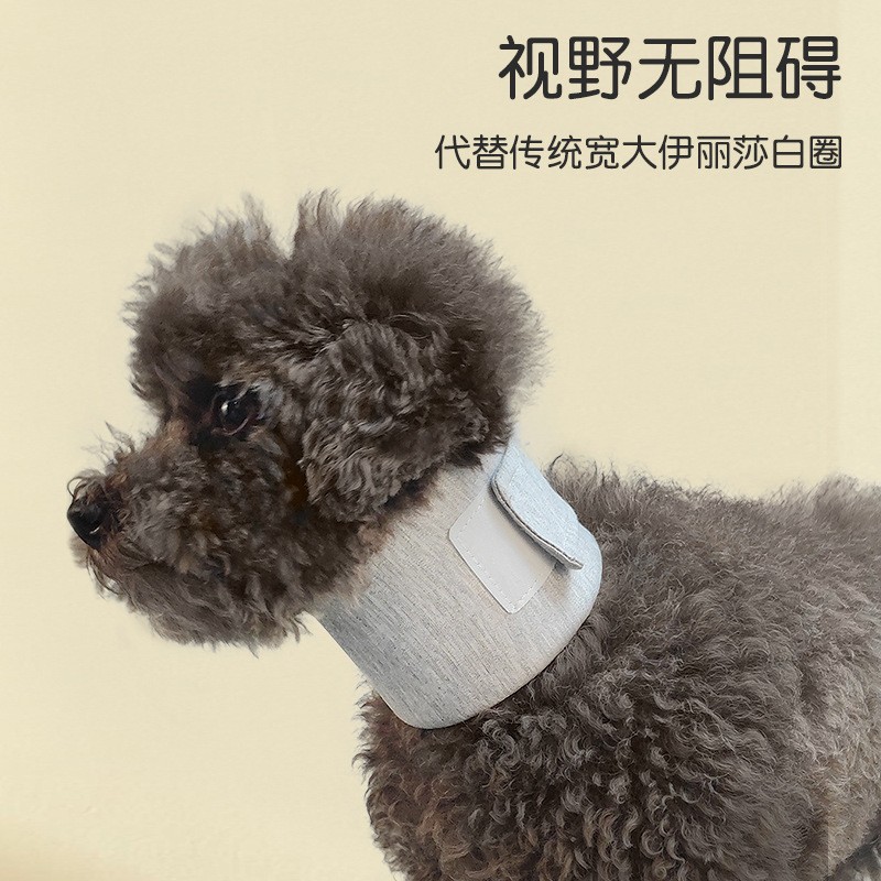 狗猫咪脖套脖子烂皮肤保