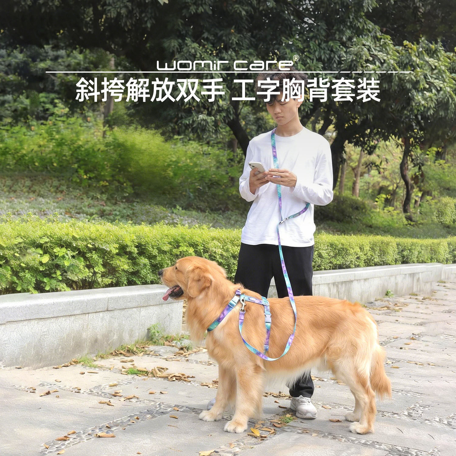 狗狗牵引绳工字型胸背小图片