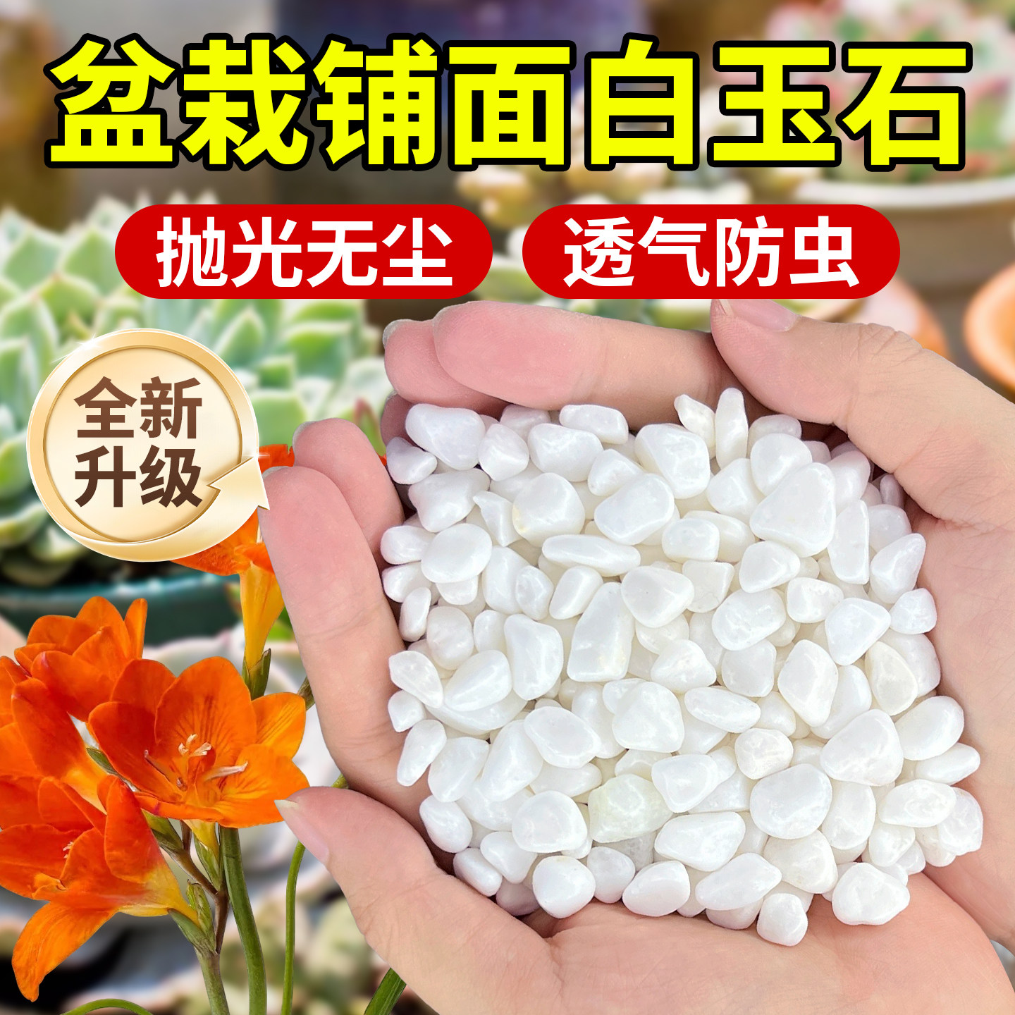 水培石子天然白色鹅卵石雨花石白色石头鱼缸花盆装饰多肉石子颗粒