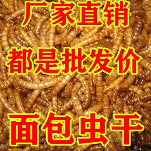 面包虫干黄粉虫干仓鼠粮食龟粮鱼食八哥鸟食芦丁鸡饲料宠物零食