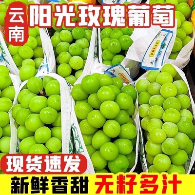 现货阳光玫瑰葡萄新鲜无籽青提当季水果整箱提子现摘现发