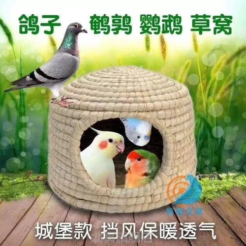 城堡鸽子窝芦丁鸡鸭子孵蛋雪鸽草窝鹌鹑玄凤鸟鹦鹉小太阳稻草窝