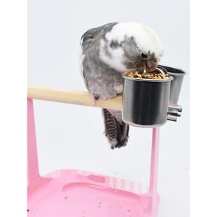 鹦鹉站架桌面鸟架子玩具伯劳虎皮站杆牡丹玄凤训练用品小型鸟站架
