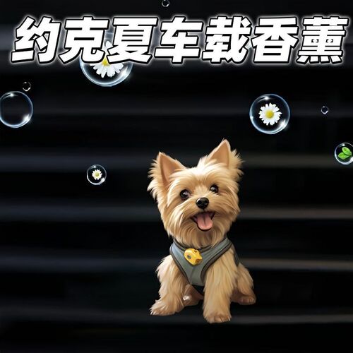 可爱的约克夏车载香薰亚克力出风口香熏除异味净化空气持久留香