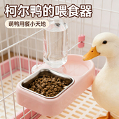 柯尔鸭专用食盆自动饮水器可固定吃饭 碗防打翻宠物小鸡饲料食盒