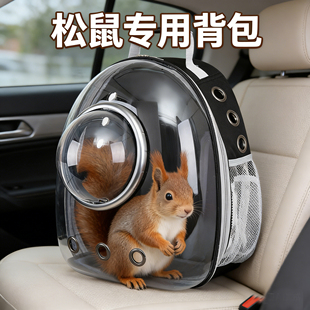松鼠专用外带包带厕所出门神器装宠物魔王松鼠荷兰猪龙猫背包笼子