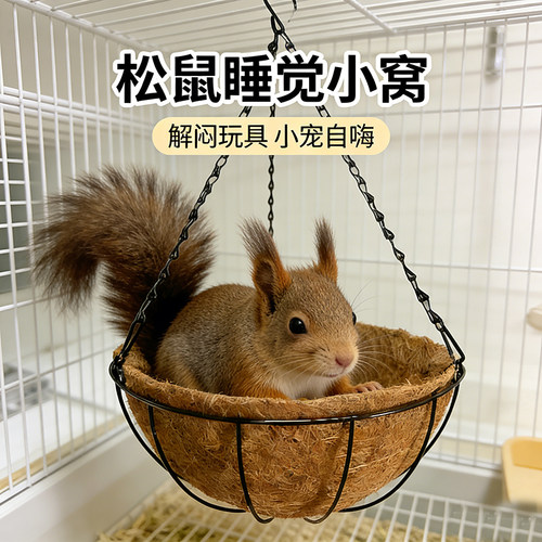松鼠专用秋千小窝解闷玩具睡觉宠物笼子花枝仓鼠蜜袋鼯的吊床用品