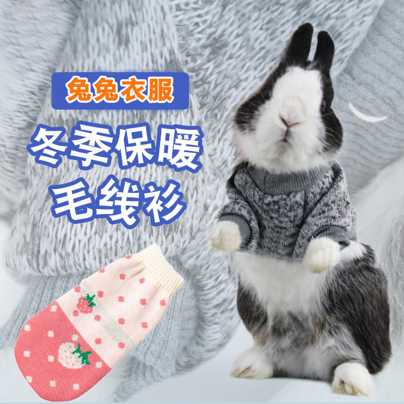 兔子衣服冬天保暖宠物小兔子穿的衣服加厚绒侏儒兔兔过冬季专用品