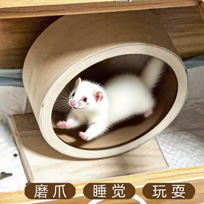 雪貂专用跑轮磨指甲玩具解闷神器狐獴土拨鼠发泄精力磨爪子跑步机