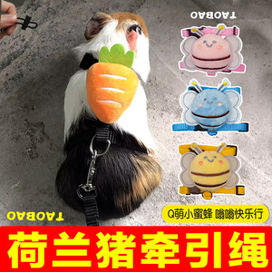 荷兰猪专用牵引绳超小型