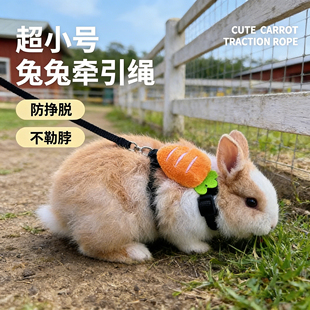 小兔子牵引绳超小号1斤内宠物荷兰猪龙猫金丝熊幼兔绳子外出神器