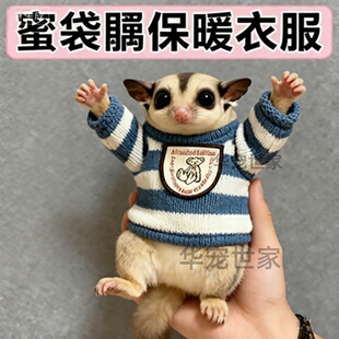 蜜袋鼯专用衣服保暖超小号飞鼠仓松鼠荷兰猪金丝熊穿的棉衣服用品