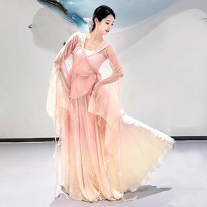 新款古典练功服春颂飘逸仙气中国舞蹈渐变色纱衣大裙摆演出服套装