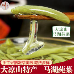 大凉山马湖莼菜四川雷波特产新鲜嫩芽蔬菜纯菜水葵马蹄菜250gx4袋