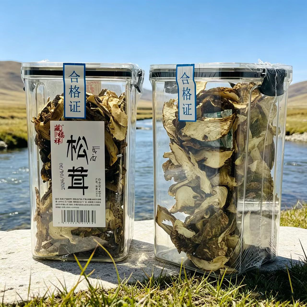 松茸干货煲汤食用菌食材拉萨直发