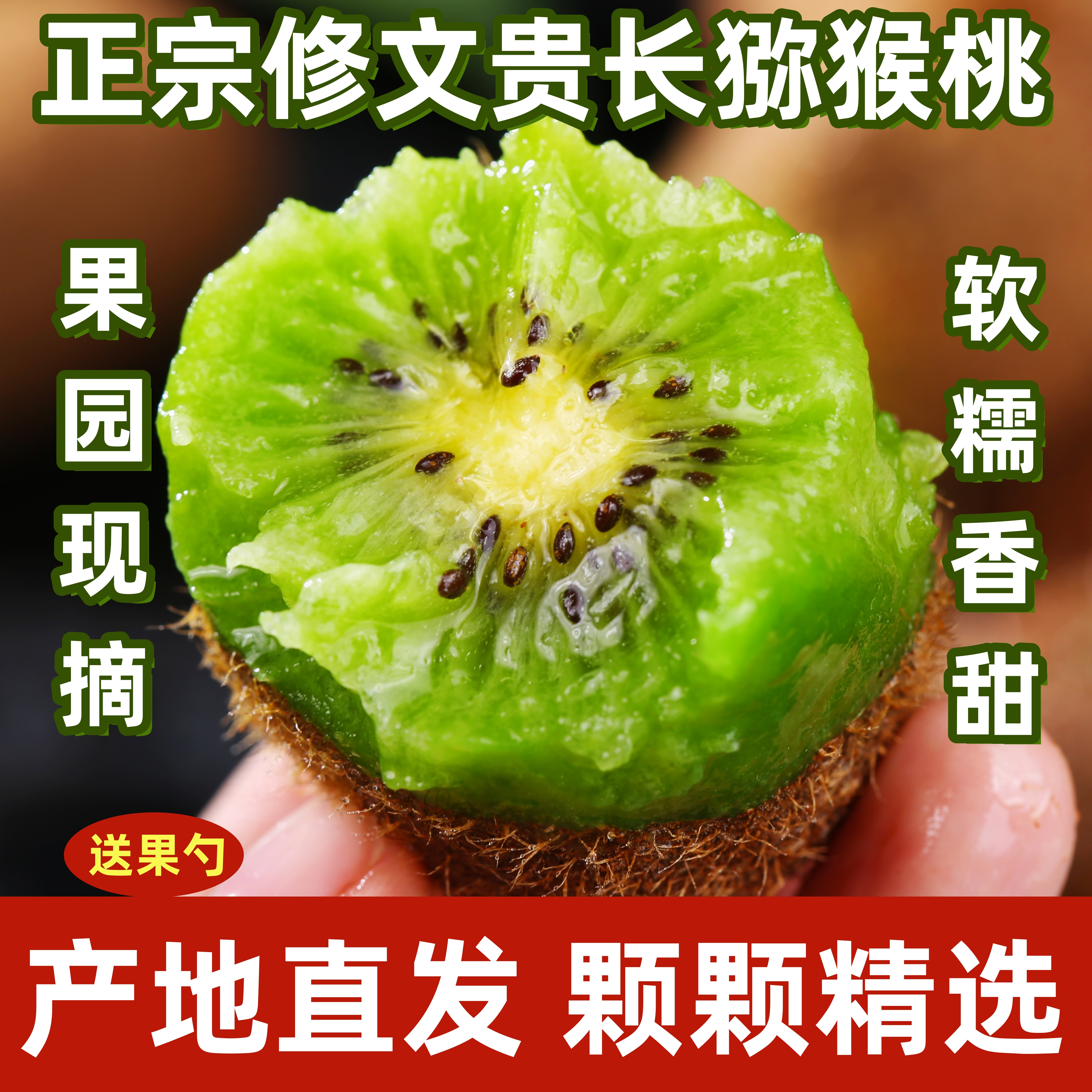 正宗贵州产地发货修文贵长猕猴桃