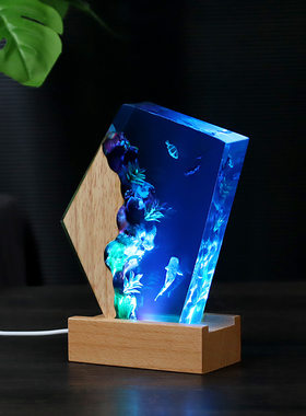 跨境海洋树脂小夜灯 手工3d立体水晶摆件 创意实木环氧树脂工艺品