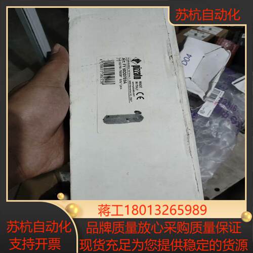 皮扎特pizzato功能安全门锁FY 60DD7E0A全新带