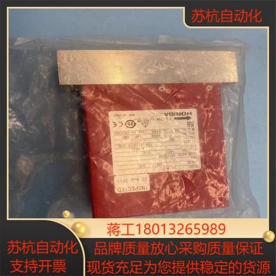 HORIBA D219-SCT气体质量控制器 CF4 流