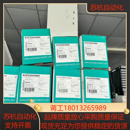 BLRCS250A300B40 电容器全新原装带装