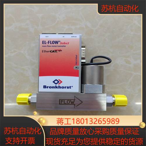 荷兰Bronkhorst计RUR-125T成色99新